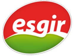Esgir